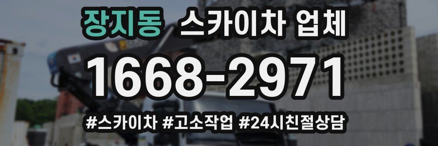 장지동 스카이차 업체