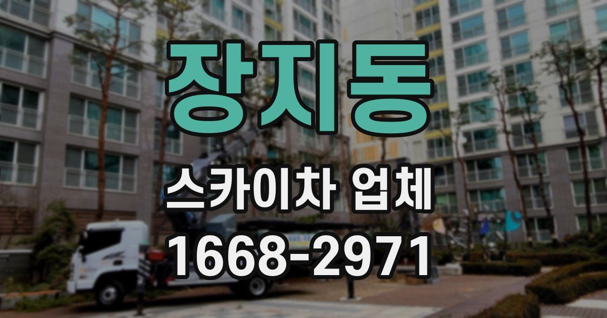 장지동 스카이차 업체