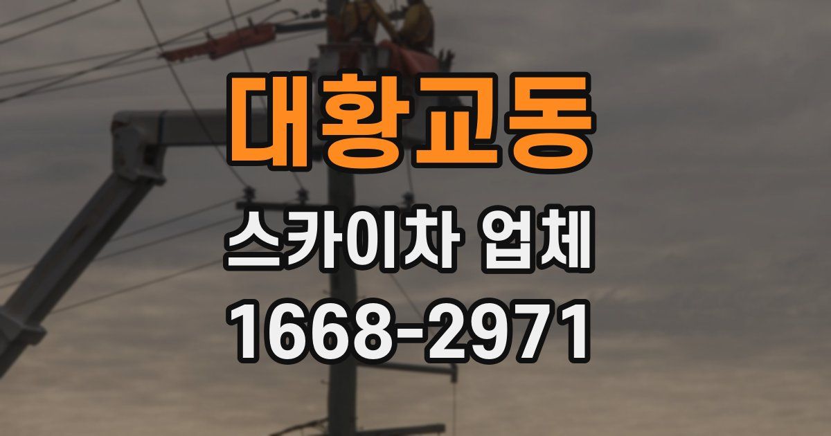 대황교동 스카이차 업체