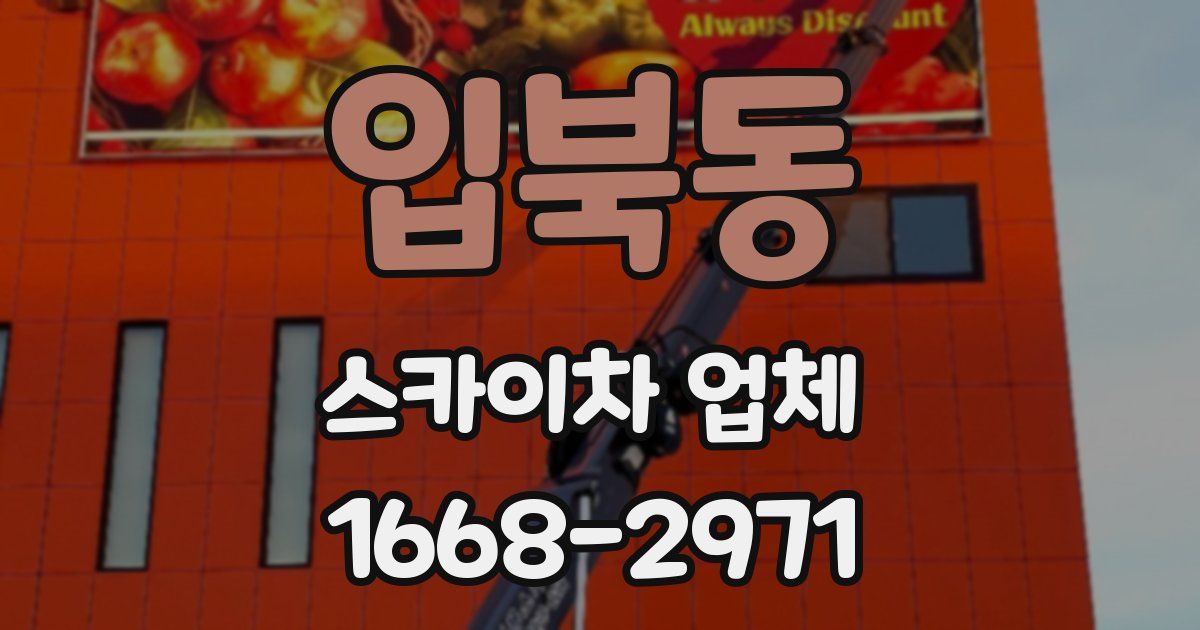입북동 스카이차 업체