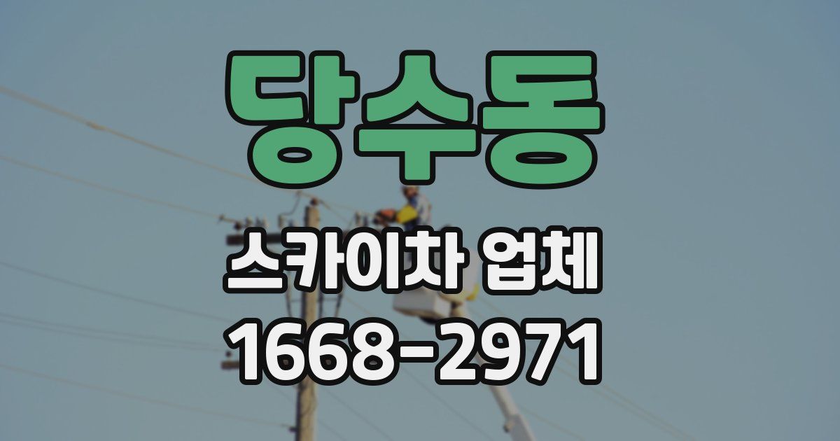 당수동 스카이차 업체