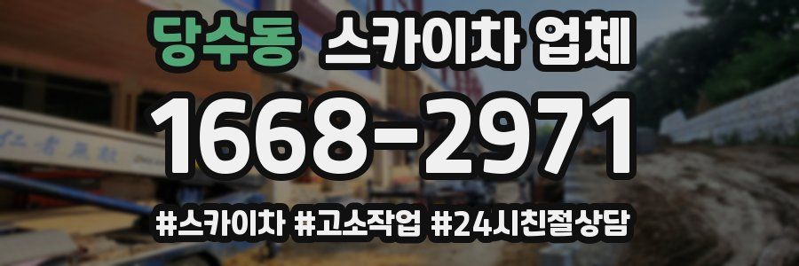당수동 스카이차 업체
