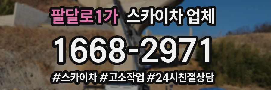 팔달로1가 스카이차 업체