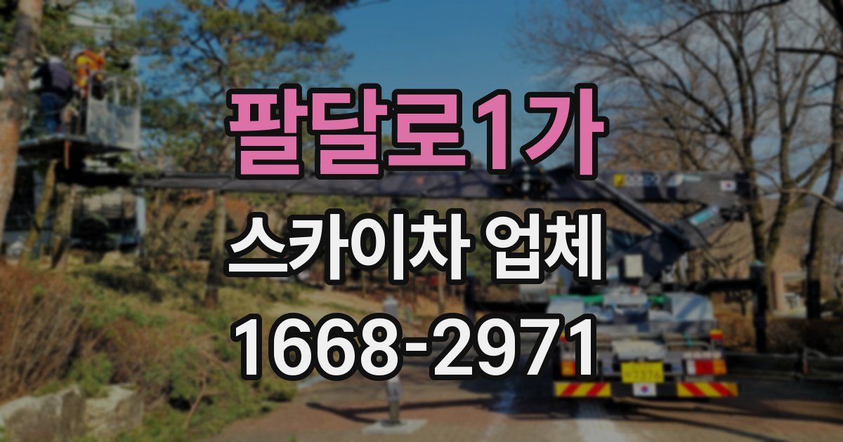 팔달로1가 스카이차 업체