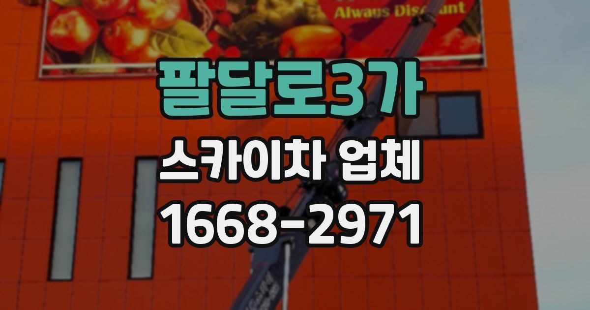 팔달로3가 스카이차 업체