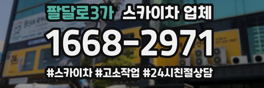 팔달로3가 스카이차 업체