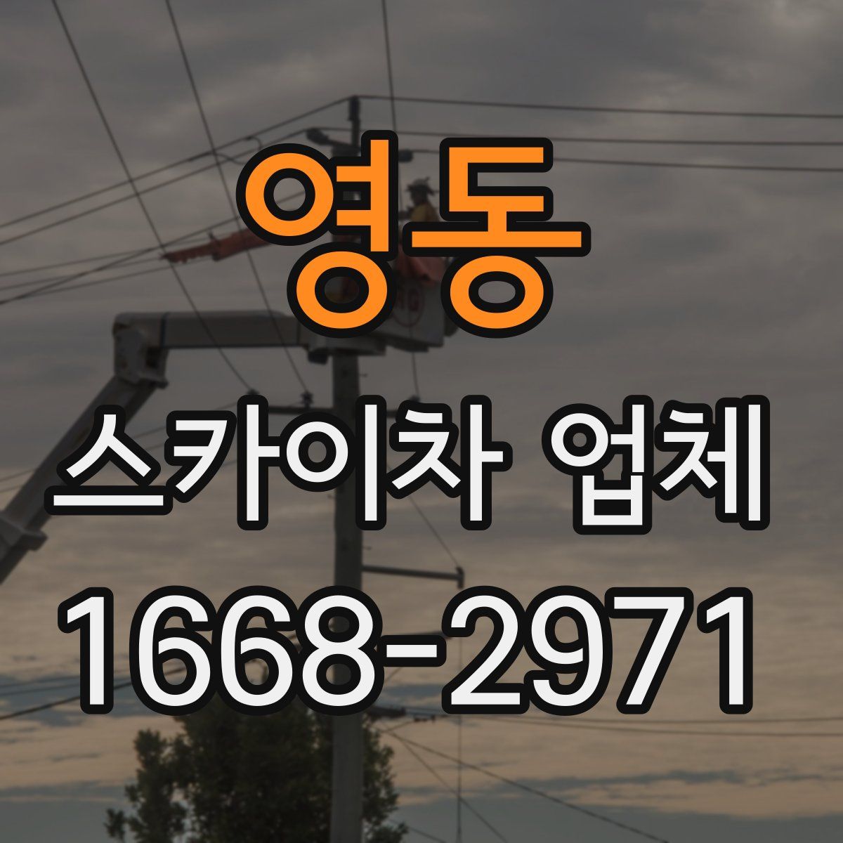 영동 스카이차 업체