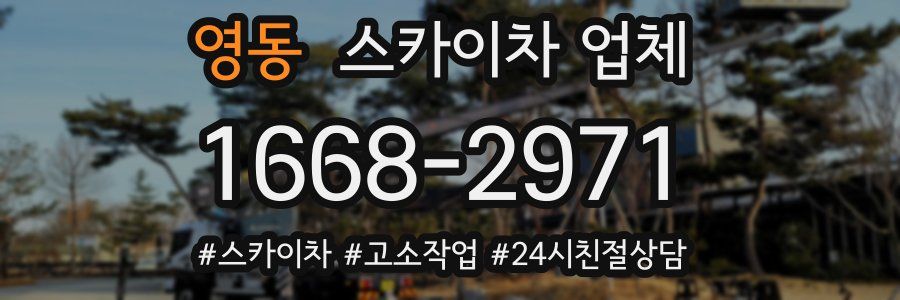 영동 스카이차 업체