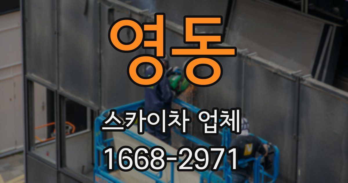 영동 스카이차 업체