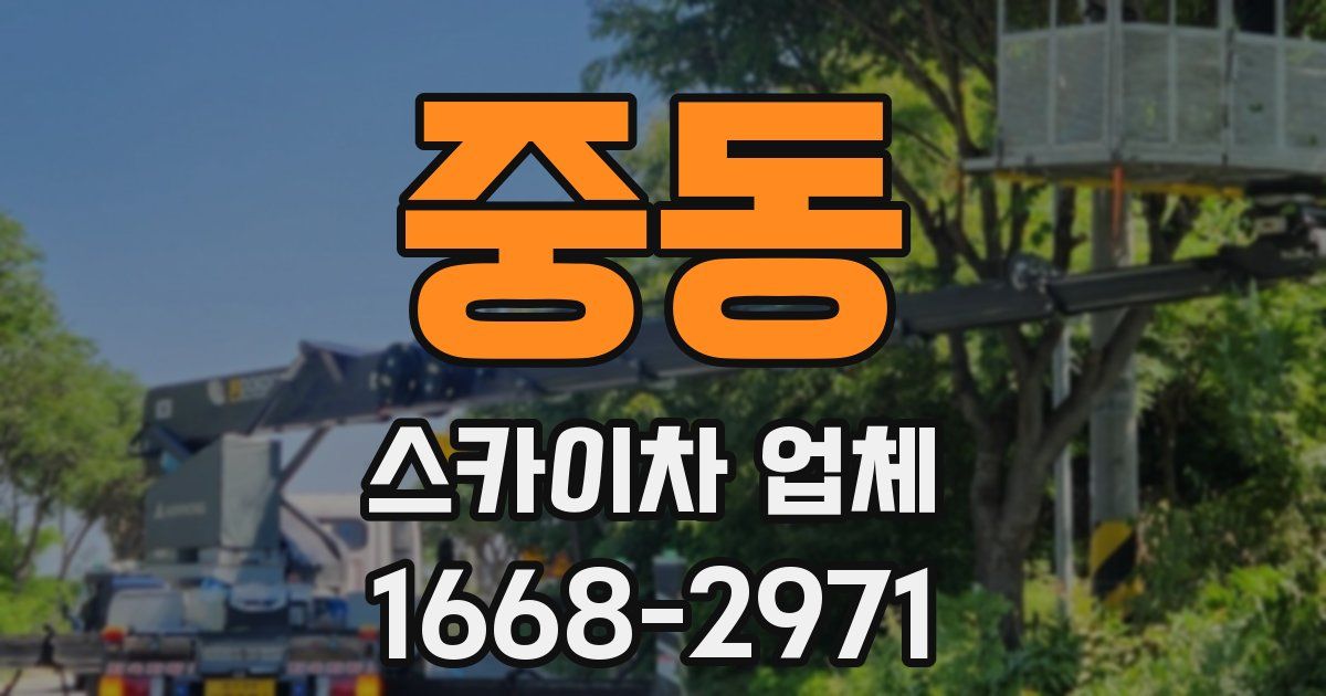 중동 스카이차 업체