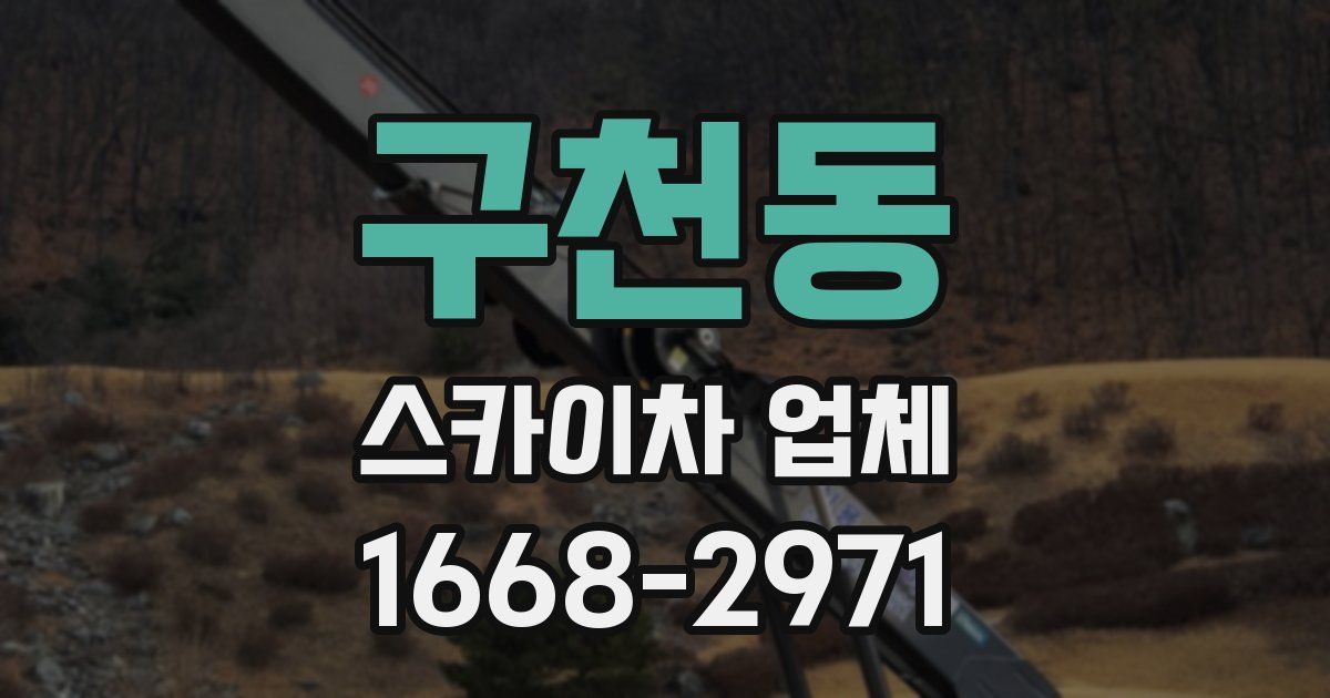 구천동 스카이차 업체