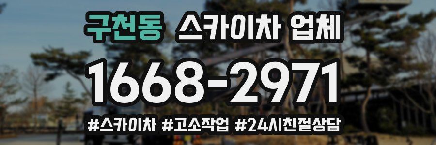 구천동 스카이차 업체