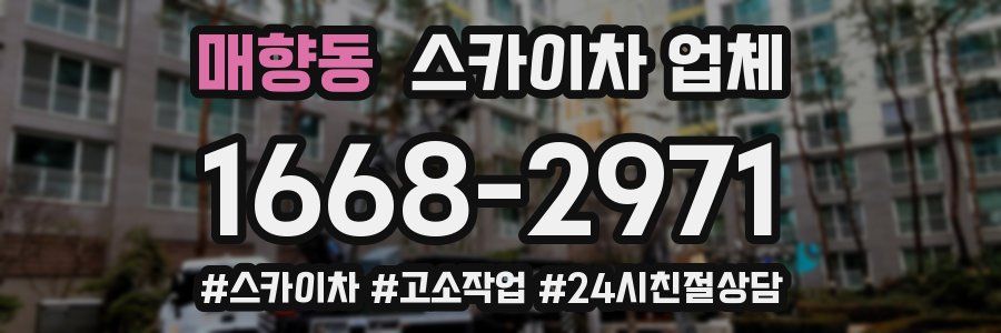 매향동 스카이차 업체