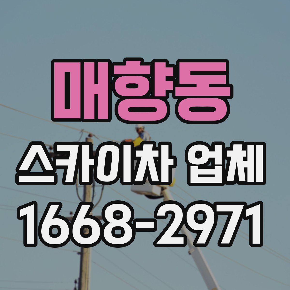 매향동 스카이차 업체