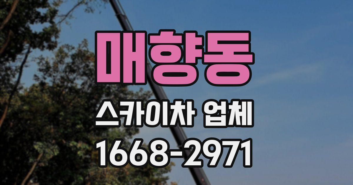 매향동 스카이차 업체