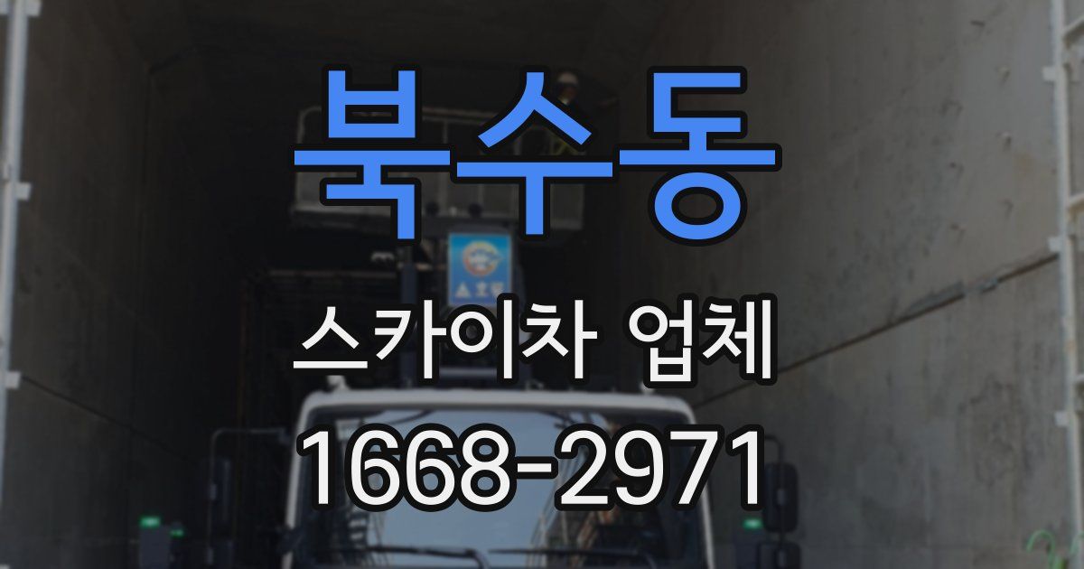 북수동 스카이차 업체