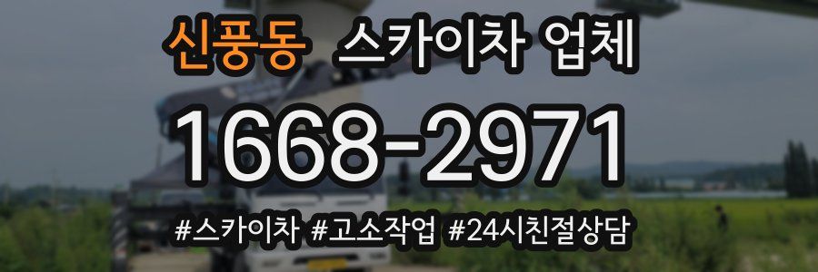 신풍동 스카이차 업체