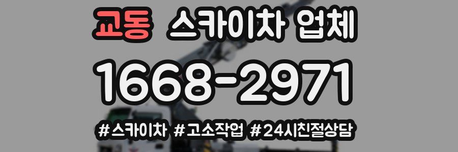 교동 스카이차 업체