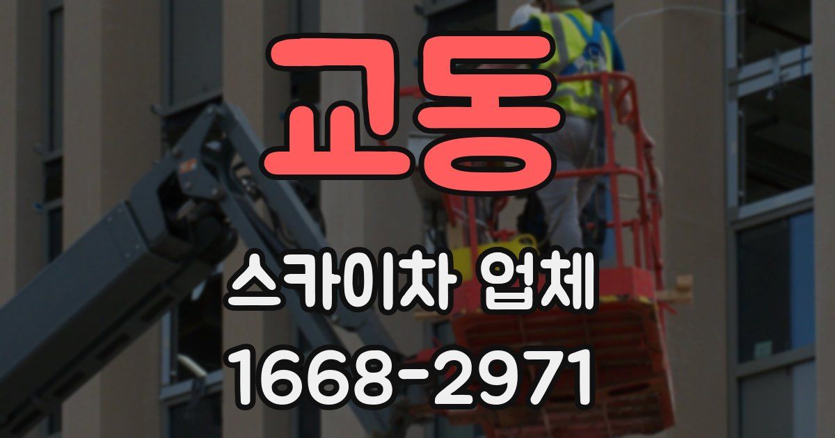교동 스카이차 업체