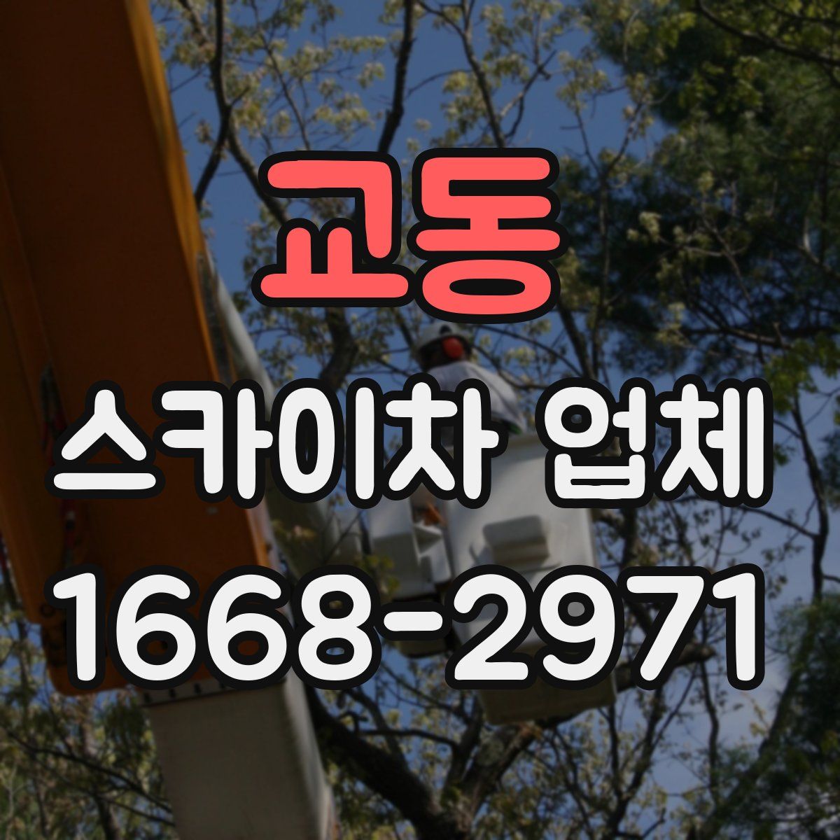 교동 스카이차 업체