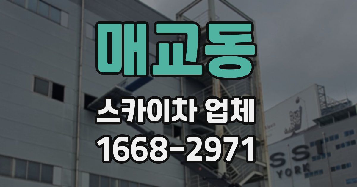 매교동 스카이차 업체