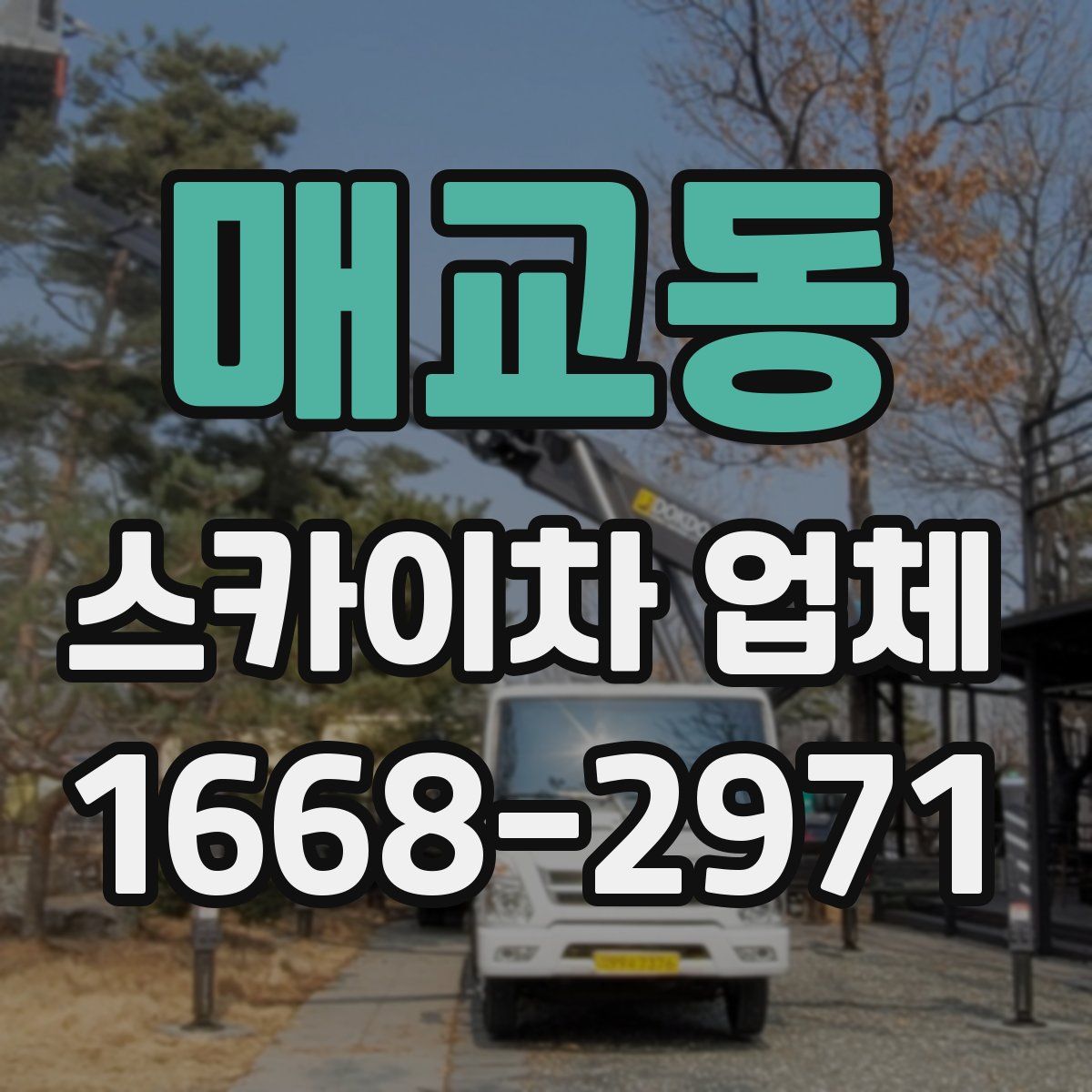 매교동 스카이차 업체