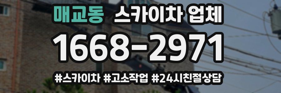 매교동 스카이차 업체