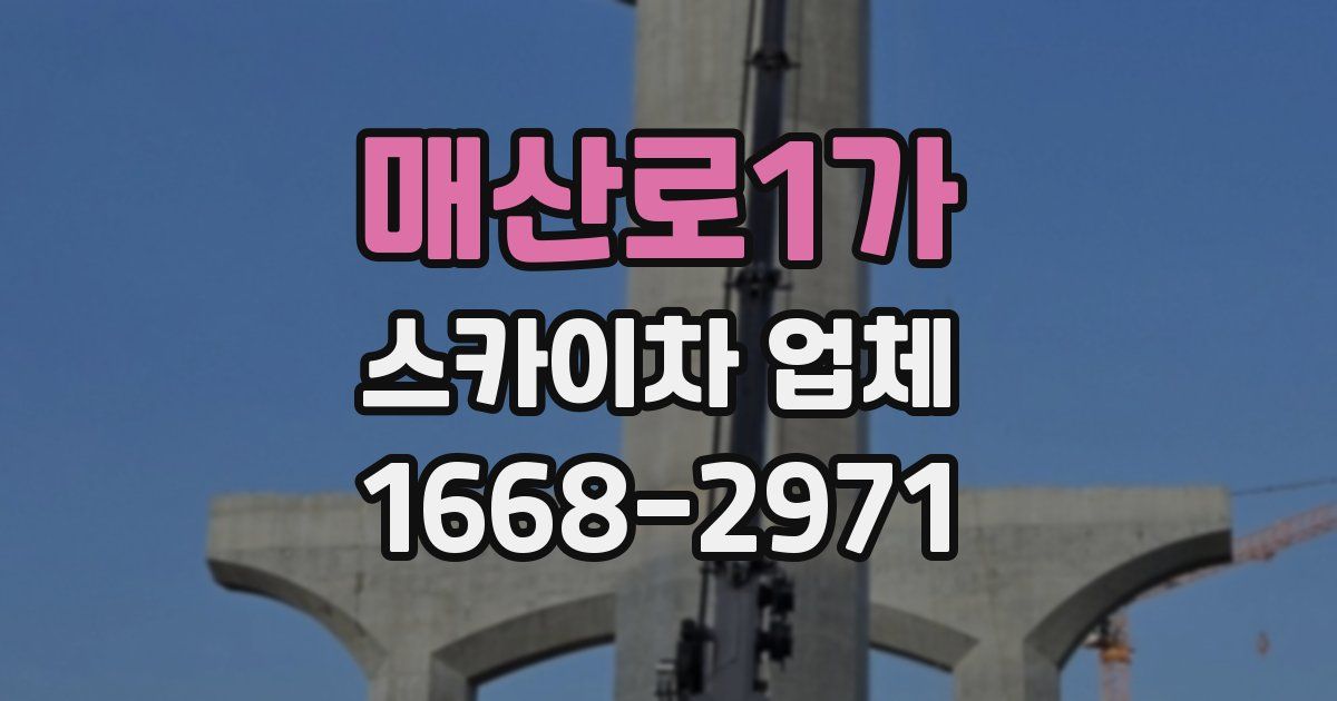 매산로1가 스카이차 업체