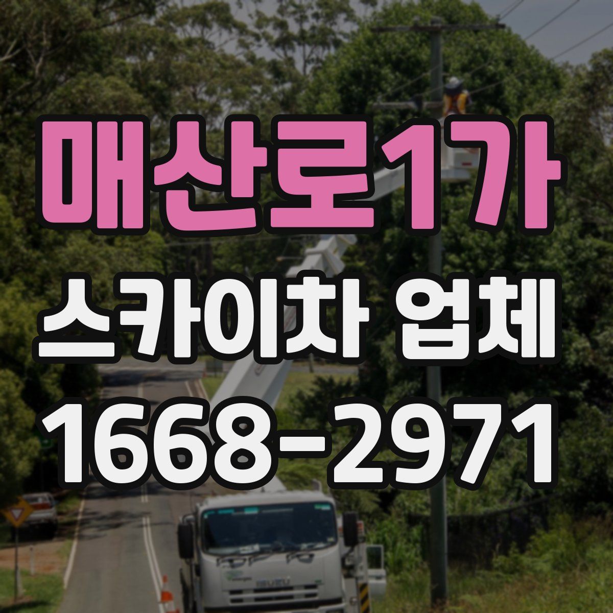 매산로1가 스카이차 업체