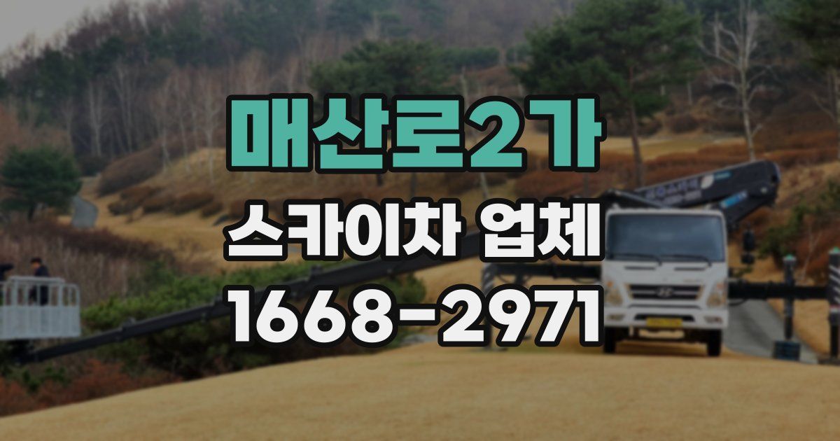 매산로2가 스카이차 업체