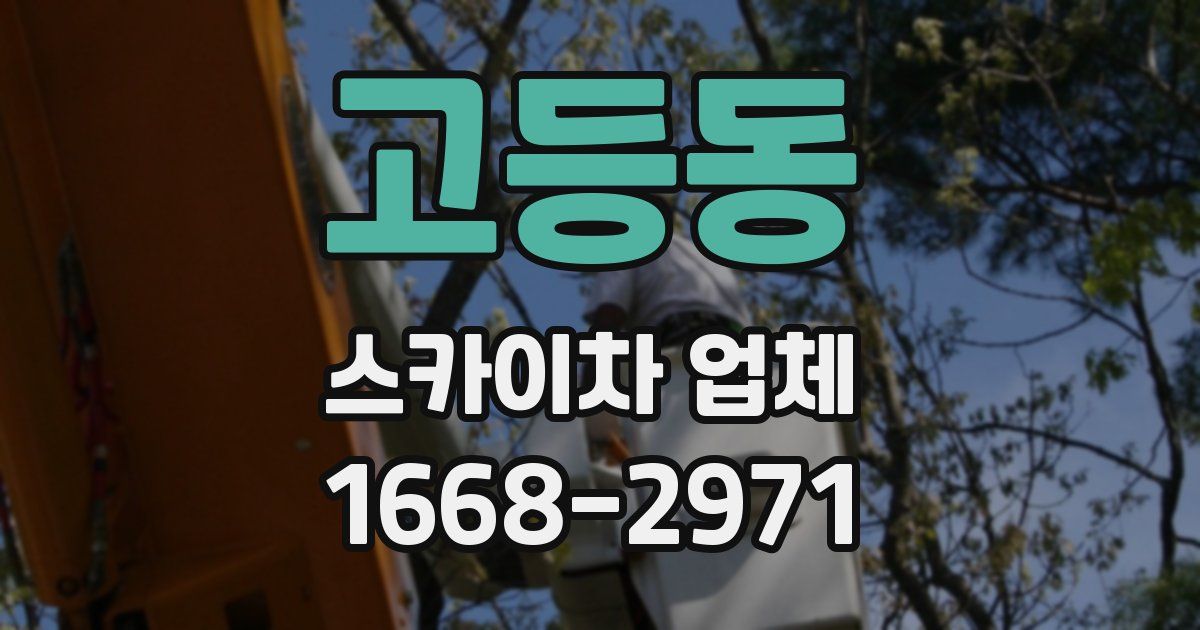 고등동 스카이차 업체