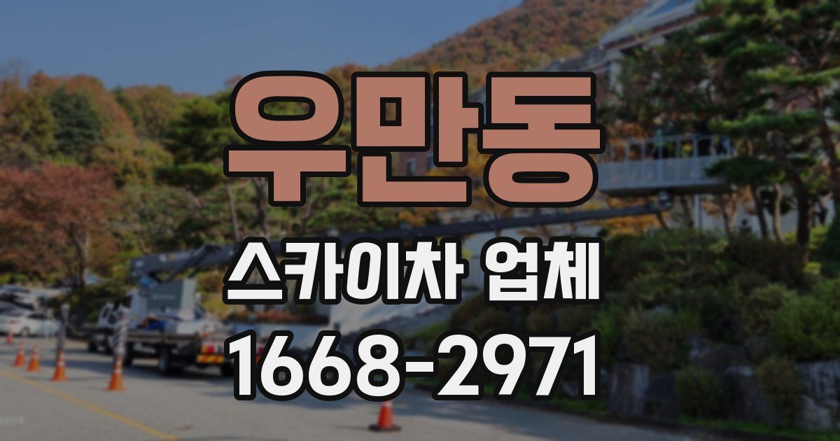 우만동 스카이차 업체