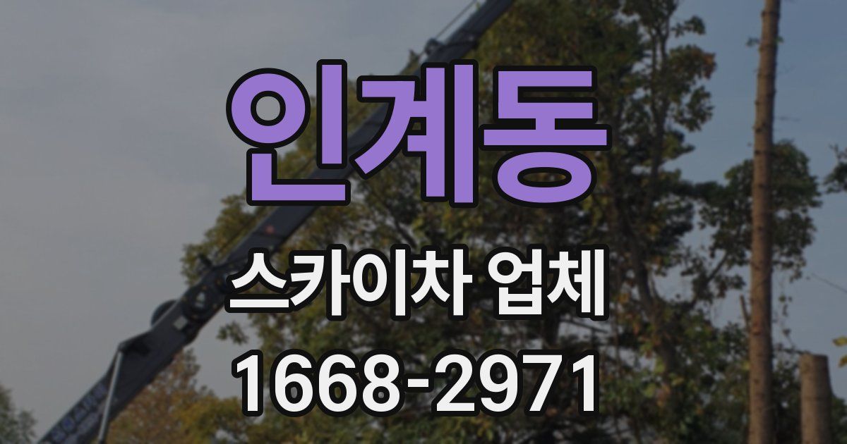 인계동 스카이차 업체