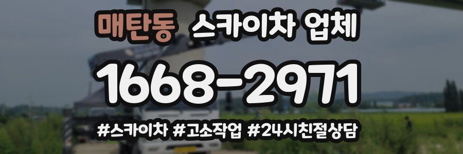 매탄동 스카이차 업체
