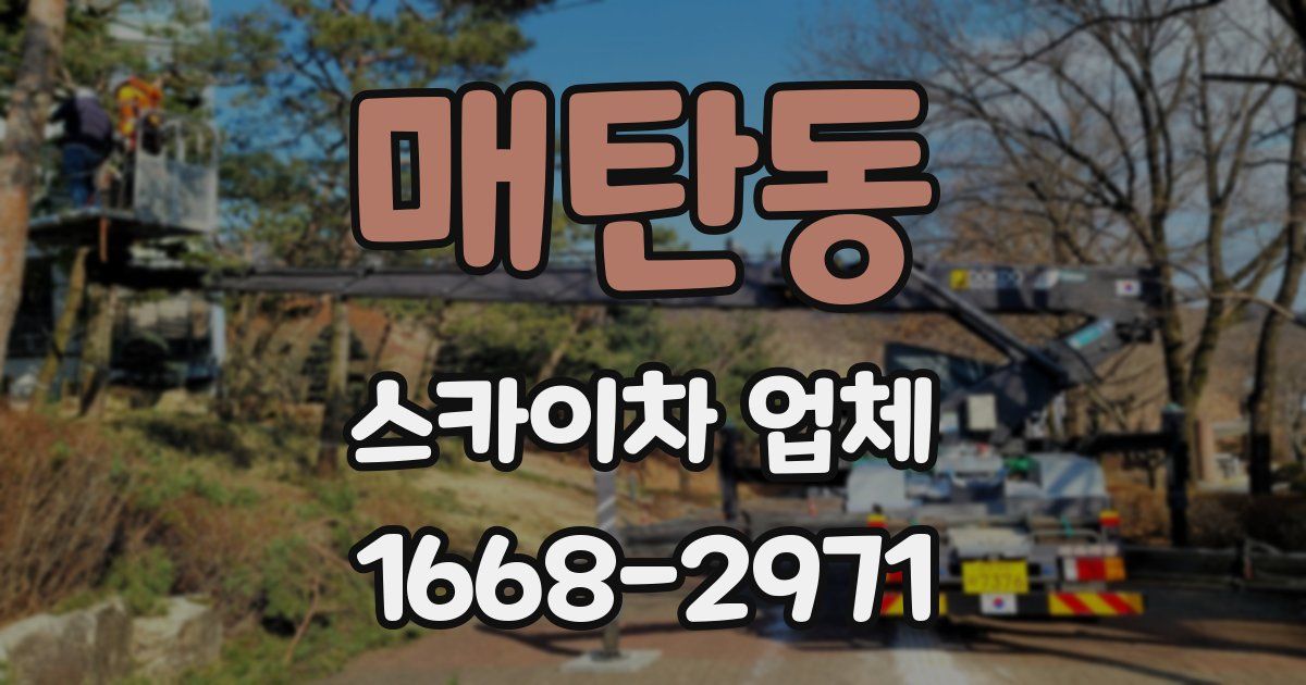 매탄동 스카이차 업체