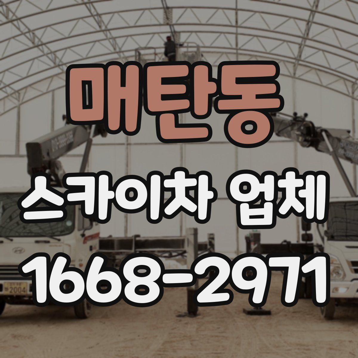 매탄동 스카이차 업체