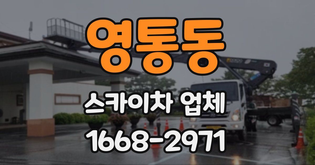 영통동 스카이차 업체
