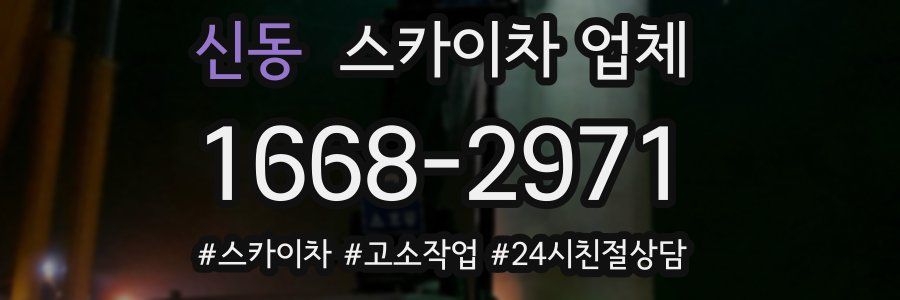 신동 스카이차 업체