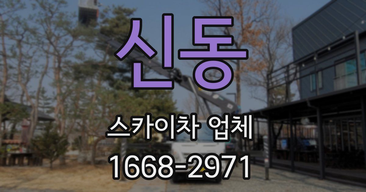 신동 스카이차 업체