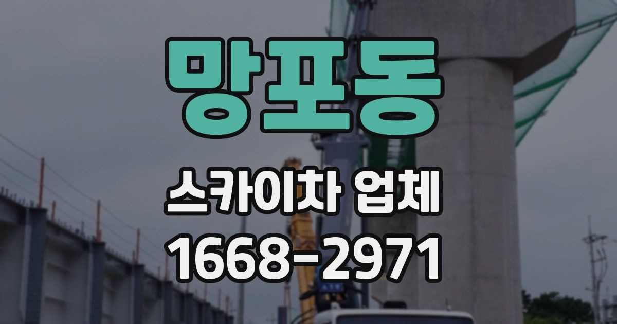 망포동 스카이차 업체