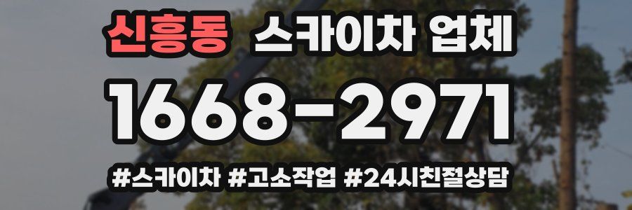 신흥동 스카이차 업체