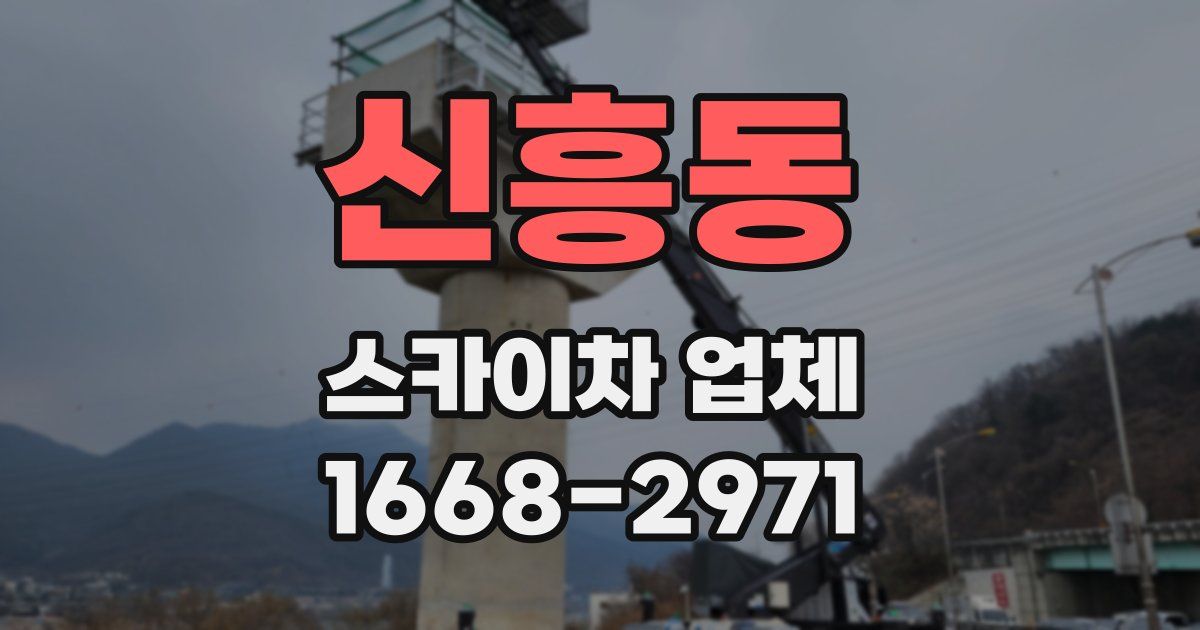 신흥동 스카이차 업체