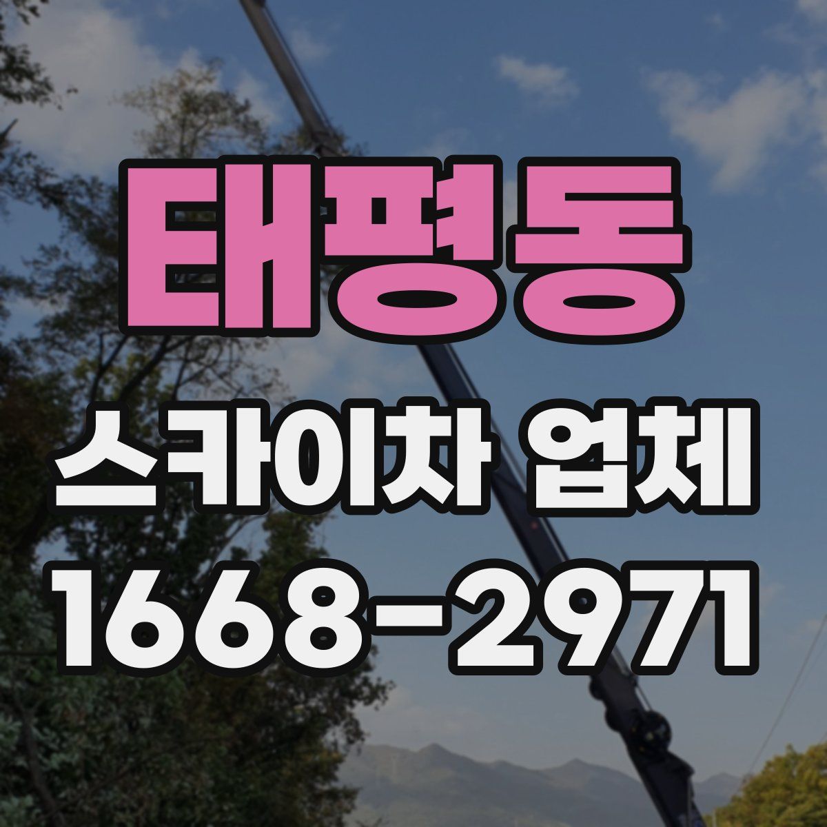 태평동 스카이차 업체