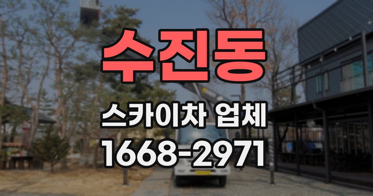 수진동 스카이차 업체