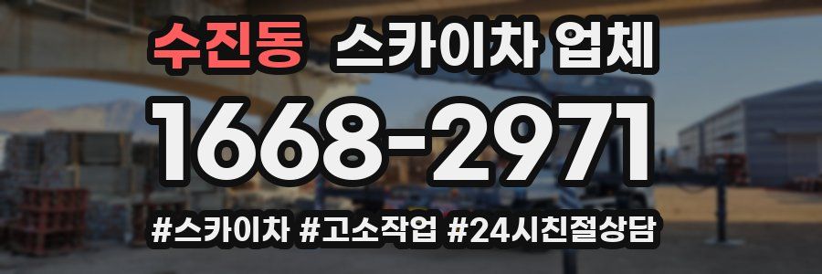 수진동 스카이차 업체