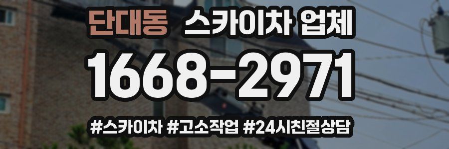 단대동 스카이차 업체