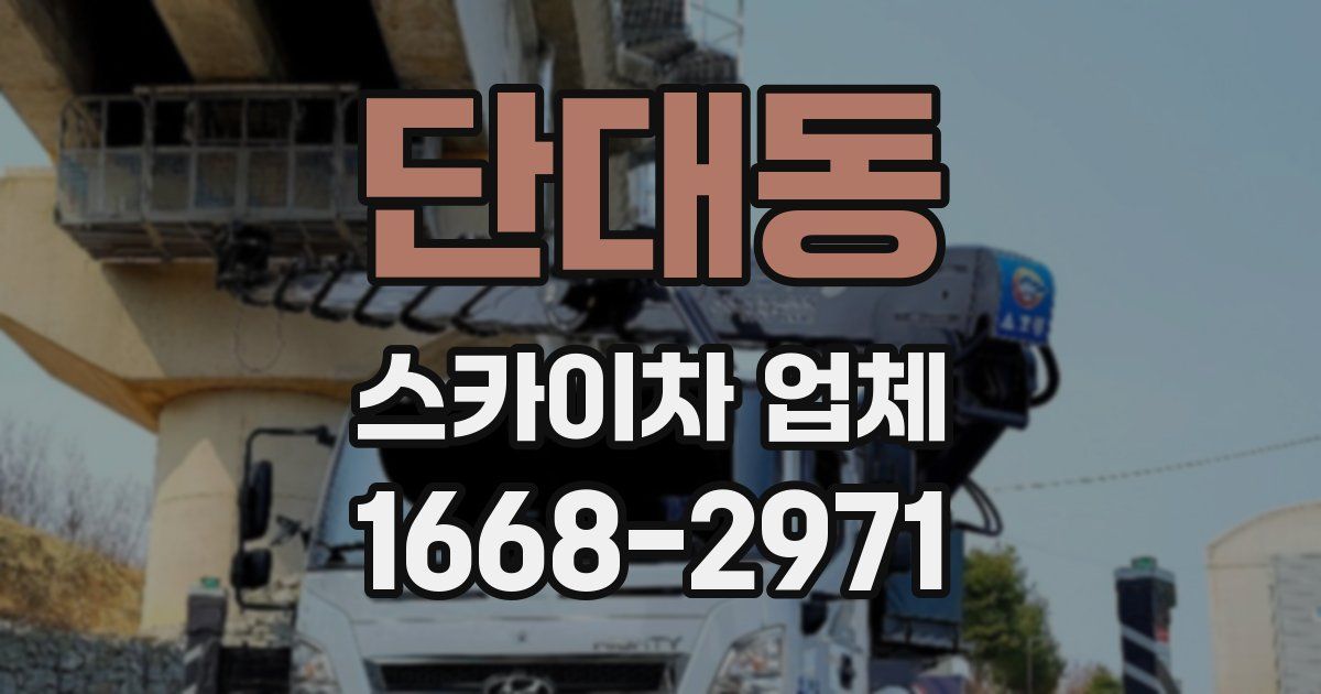단대동 스카이차 업체