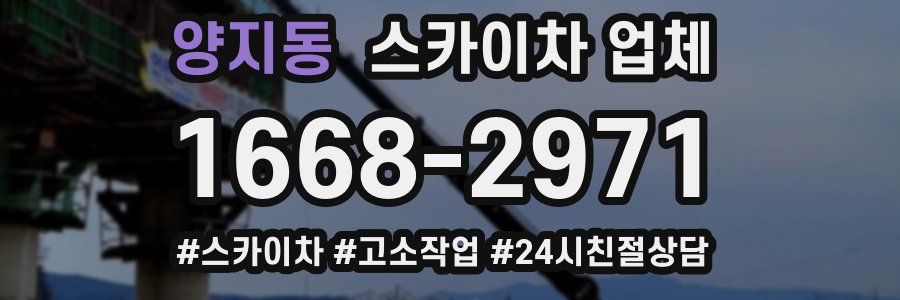 양지동 스카이차 업체
