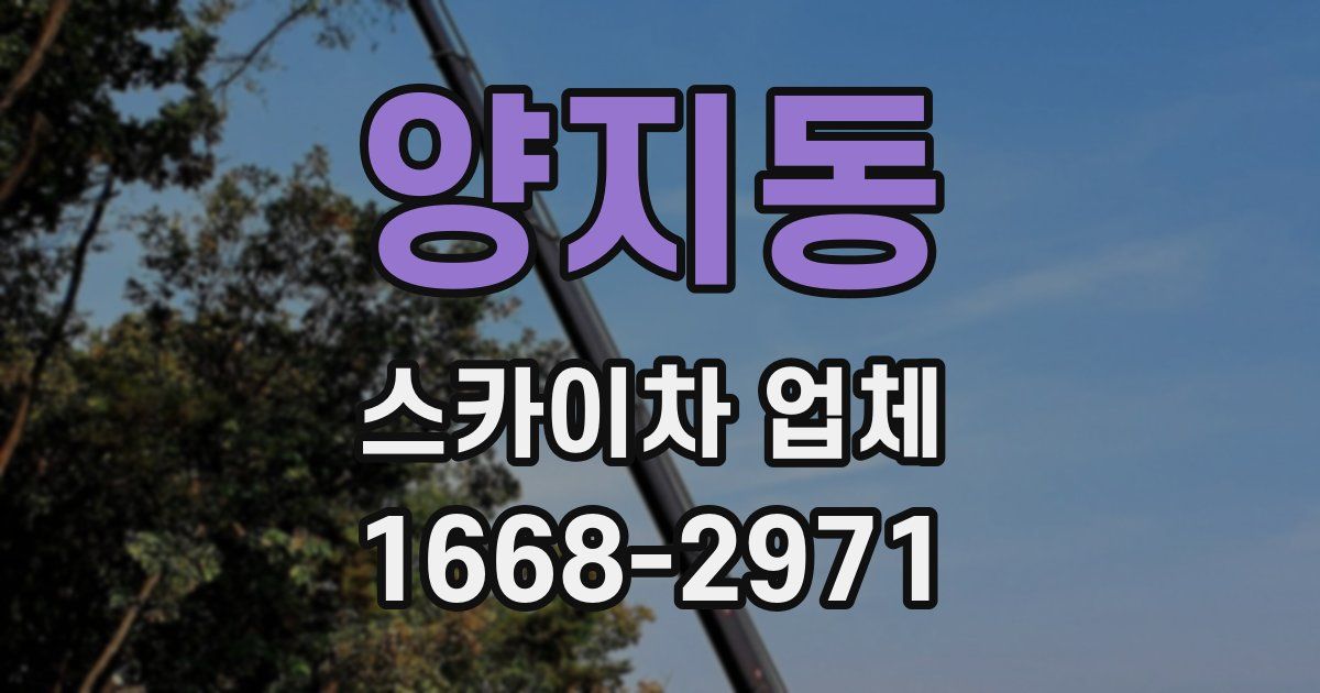 양지동 스카이차 업체