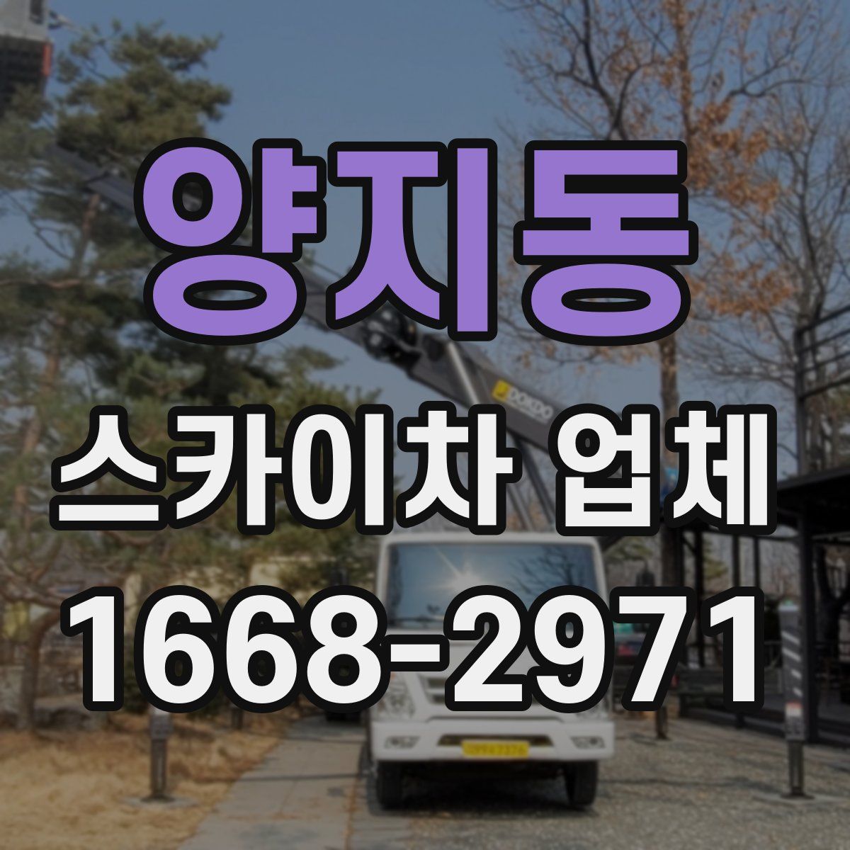 양지동 스카이차 업체